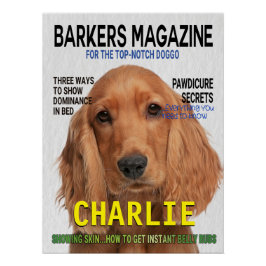 Poster de portada de la revista Cocker Spaniel Par