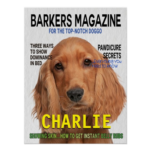 Poster de portada de la revista Cocker Spaniel Par (Anverso)