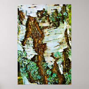 Póster de primer plano de un árbol