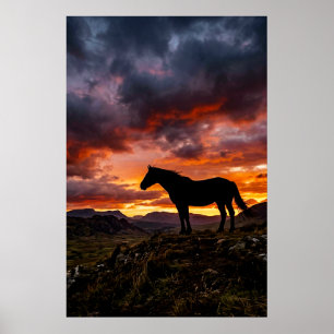 Póster de puesta de sol con silueta de caballo maj