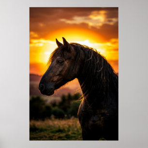 Póster de puesta de sol de caballo negro majestuos
