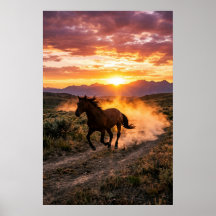 Póster de puesta de sol de caballo salvaje majestu