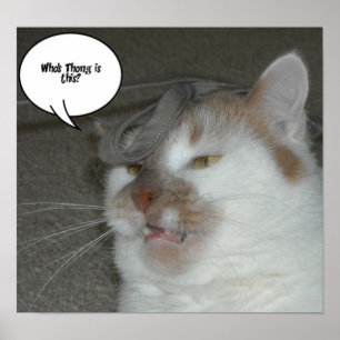 Póster ¿De quién es este tanga de despedida de soltero?