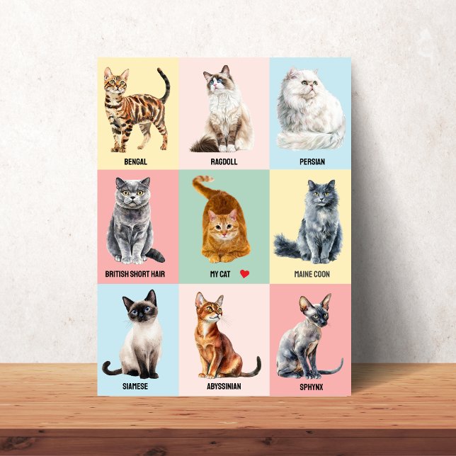 Póster de raza de gato personalizado – Agrega a tu (Custom Cat Breed Poster – Add Your Own Cat)