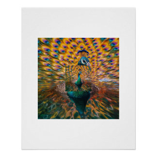 Póster de reflejo de agua de pavo real vívido