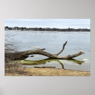 Póster de reflejo de árbol en río