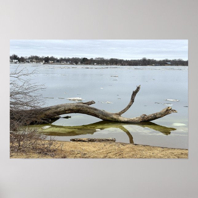Póster de reflejo de árbol en río (Frente)