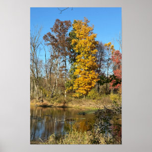 Póster de reflejos de otoño en el arroyo