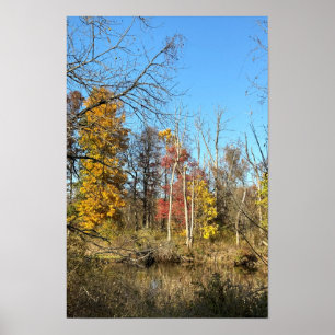 Póster de Reflexiones de Otoño en el Arroyo