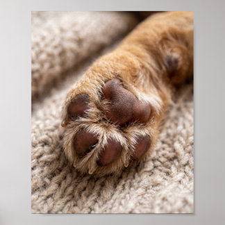 Póster de retrato de mascota personalizado de 8 po