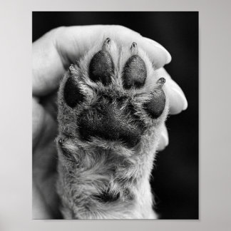 Póster de retrato de mascota personalizado de 8 po