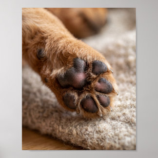 Póster de retrato de mascota personalizado de 8 po
