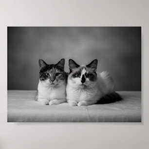 Póster de retrato de mascota personalizado en blan