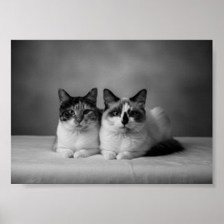 Póster de retrato de mascota personalizado en blan