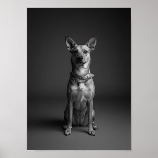 Póster de retrato de mascota personalizado en blan