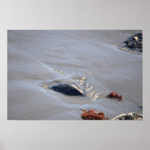 Póster de rocas en el océano