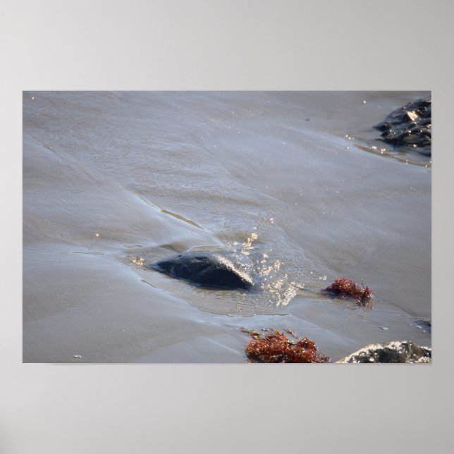 Póster de rocas en el océano (Frente)