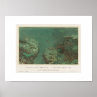 Póster de rocas submarinas con corales verdes (186