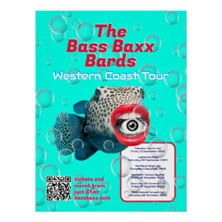 Poster de Rock Band Tour de Punk de Blowfish
