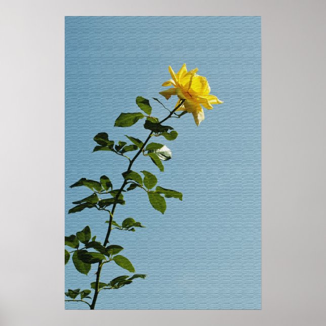 Póster de Rosa Amarilla (Frente)