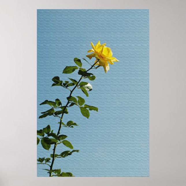 Póster de Rosa Amarilla (Frente)