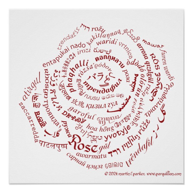 Poster de Rosa de World Word (Anverso)