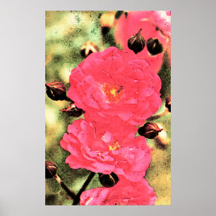 Poster de rosas rosas rosadas - arte floral fotogr
