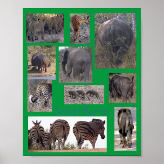 Póster de Safari Bums