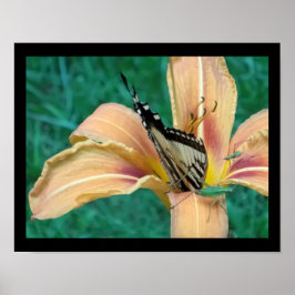 Póster de saltamontes y mariposa en un lirio de ti