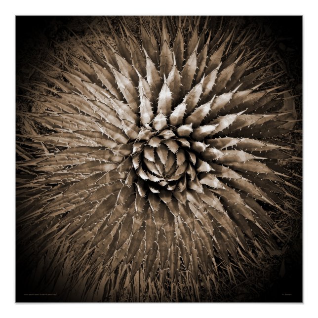 Poster de Sepia en la Plaza de Spikes del Suroeste (Anverso)