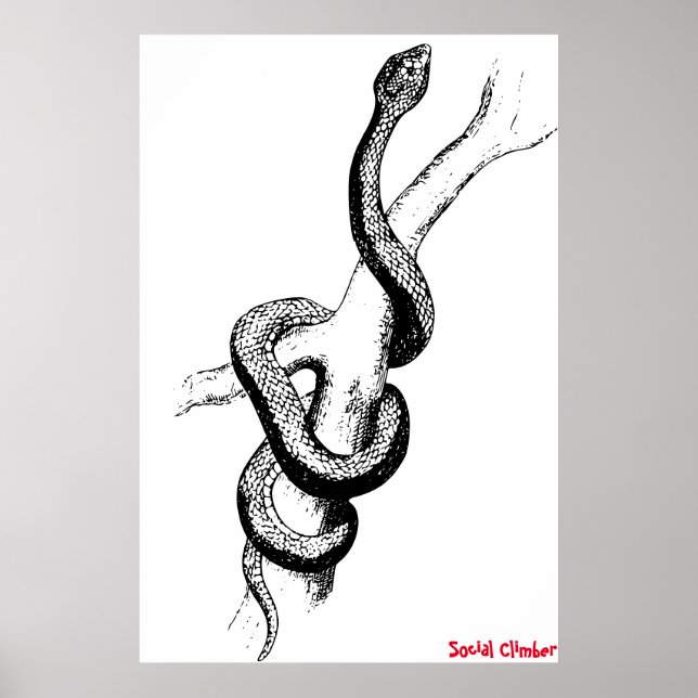 Póster de serpiente (Frente)