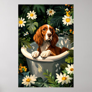 Póster de Setter Irlandés en Bañera, Póster Divert