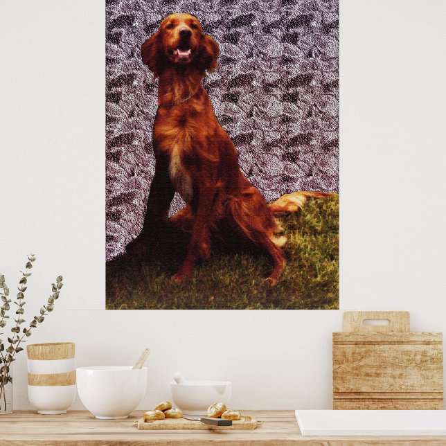 Póster de Setter Irlandés y pared de hormigón con  (Cocina)