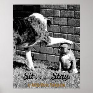 Póster de Siéntate - - - Quédate - - -