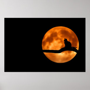 Póster de silueta de gato a la luz de la luna