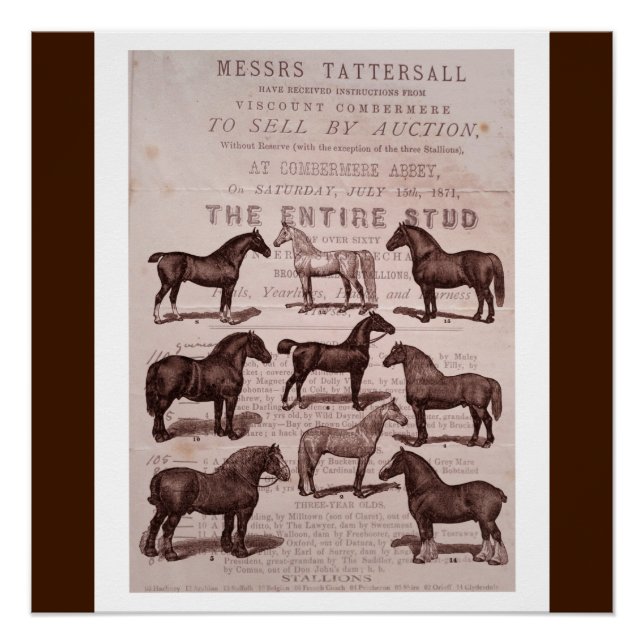 Poster de Subasta de Caballos y Stallions de Sepia (Anverso)
