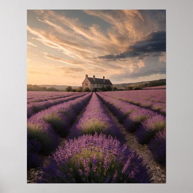 Póster de Sueños de Lavanda de Provenza (Frente)