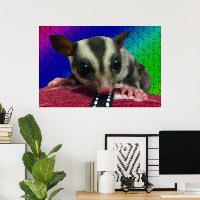 Póster de Sugar Glider Joven (Oficina en casa)