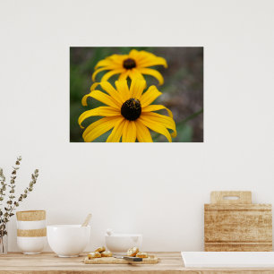 Póster de Susana de ojos negros y abeja