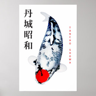 Póster de Tancho Showa Koi Elegancia