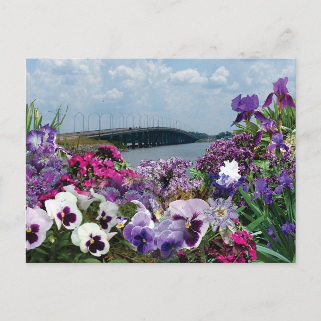 Póster de tarjeta postal del puente de barco de ve (Anverso)