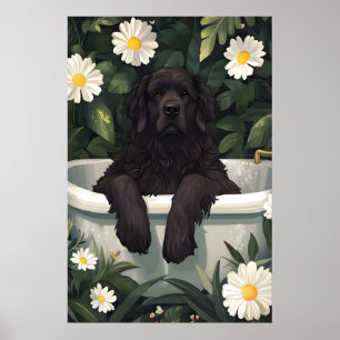 Póster de Terranova en bañera, Póster divertido de