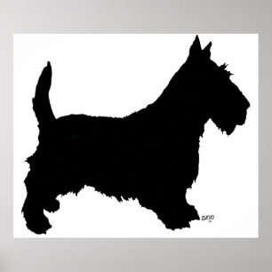 Póster de Terrier Escocés