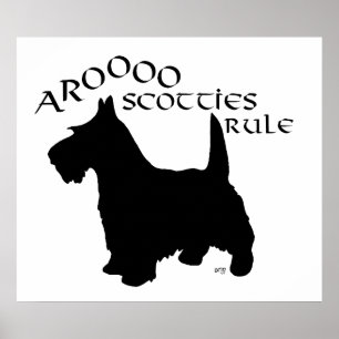 Póster de Terrier Escocés