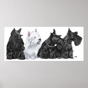 Póster de Terrier Escocés
