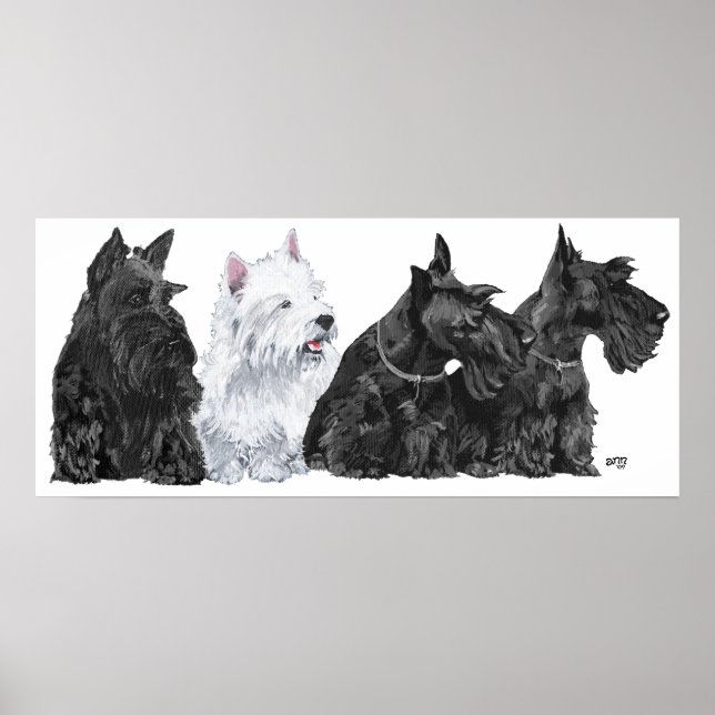 Póster de Terrier Escocés (Frente)