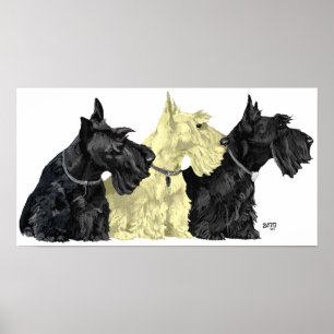 Póster de Terrier Escocés