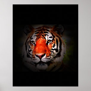 Póster de Tigre - Estilo de Arte Pop Tigres