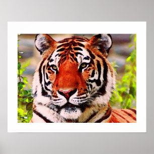 Póster de Tigre - Estilo de Arte Pop Tigres