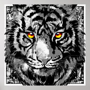 Poster de tigres blancos - Impresión de arte color